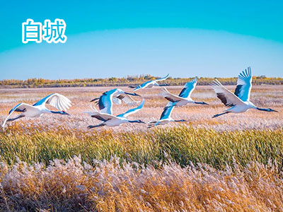 �׳�����