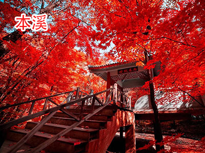 ��Ϫ����