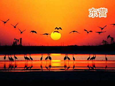 ��Ӫ����