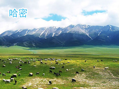 哈密旅游 哈密旅游