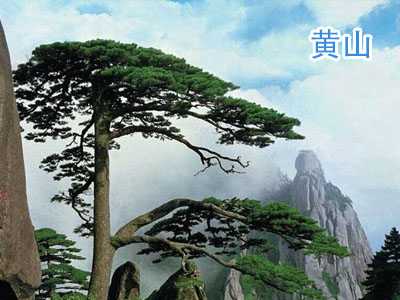 ��ɽ����