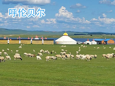 ���ױ�������