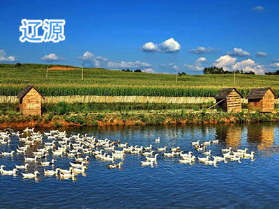 ��Դ����