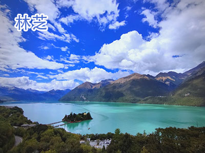 ��֥����