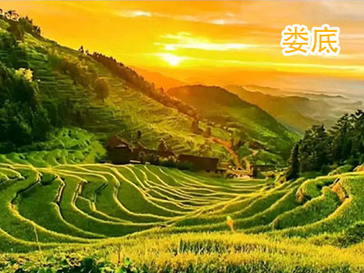 ¦������