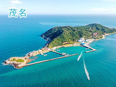 ï������