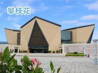 ��֦������