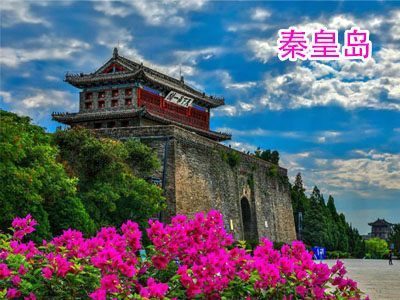 �ػʵ�����