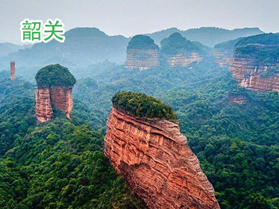 �ع�����