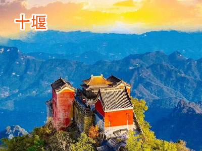 ʮ������