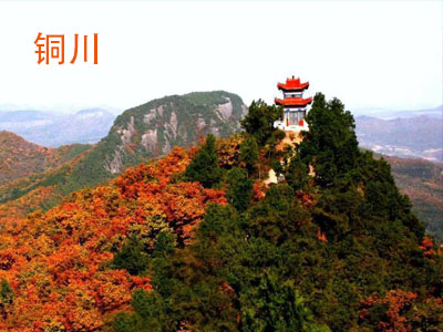 ͭ������