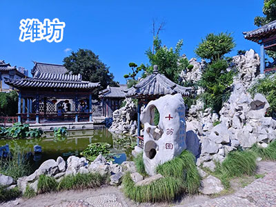 Ϋ������