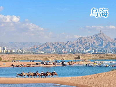 �ں�����