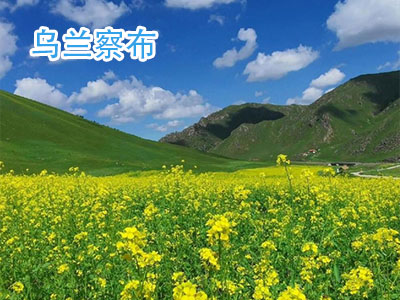 �����첼����