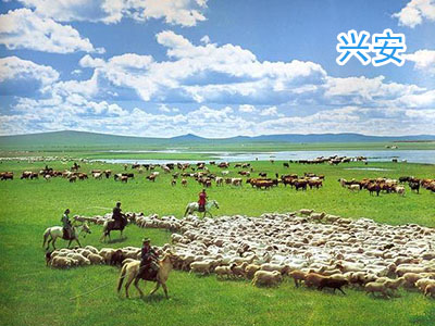 �˰�����