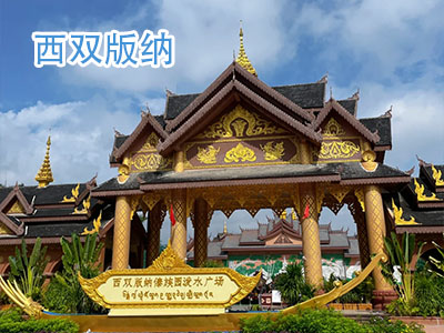 ��˫��������