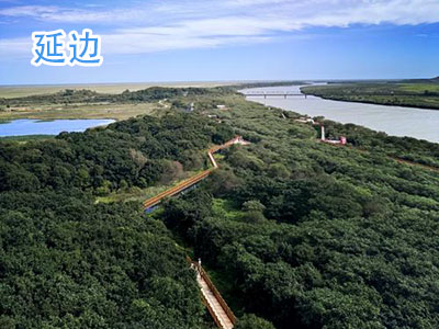 �ӱ�����