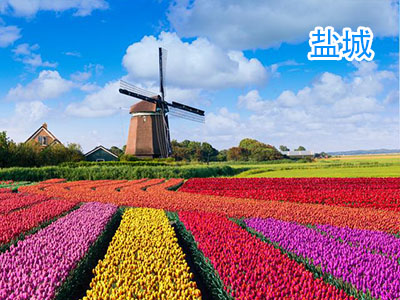 �γ�����