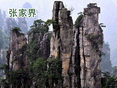 �żҽ�����