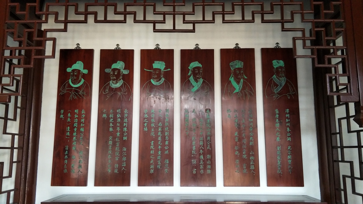 ��´��Ժ��������